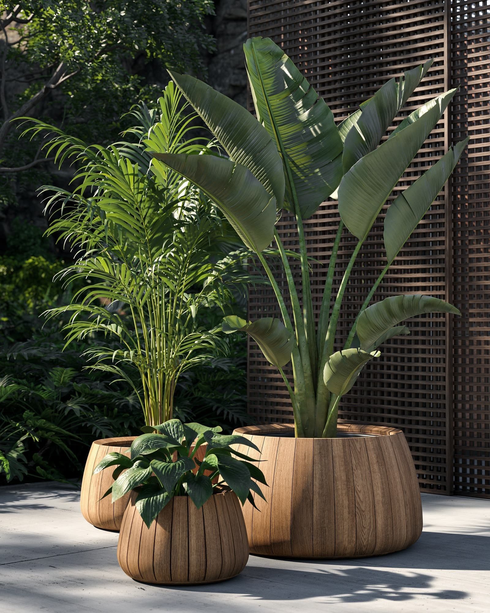 JARDINIÈRES — outdoor royal botania